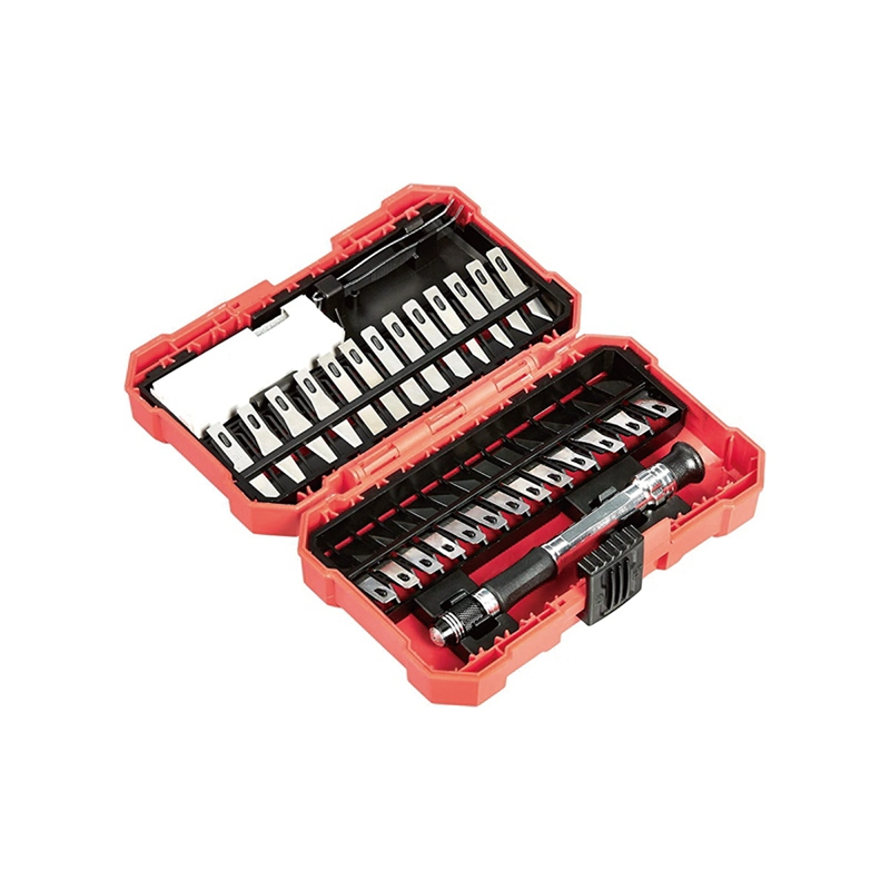 Shall 18PCS Precision Screwdriver Bit Set Impact Magnetic with Carry Case