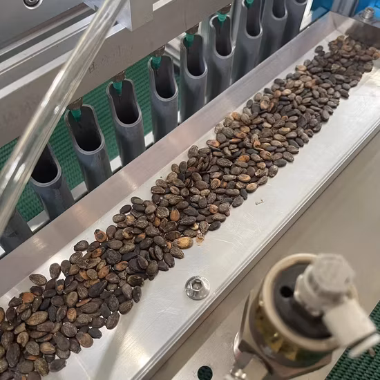 Tomac ha personalizzato 116 pezzi.  Set professionale di chiavi a bussola 1/4