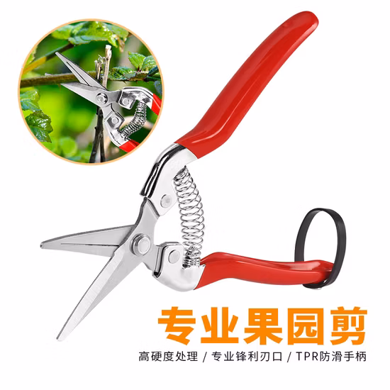 Set da giardino Cesoie da potatura con lama a cricchetto Cesoie per uva e frutta Attrezzi da giardino con gomito per bonsai in acciaio inossidabile